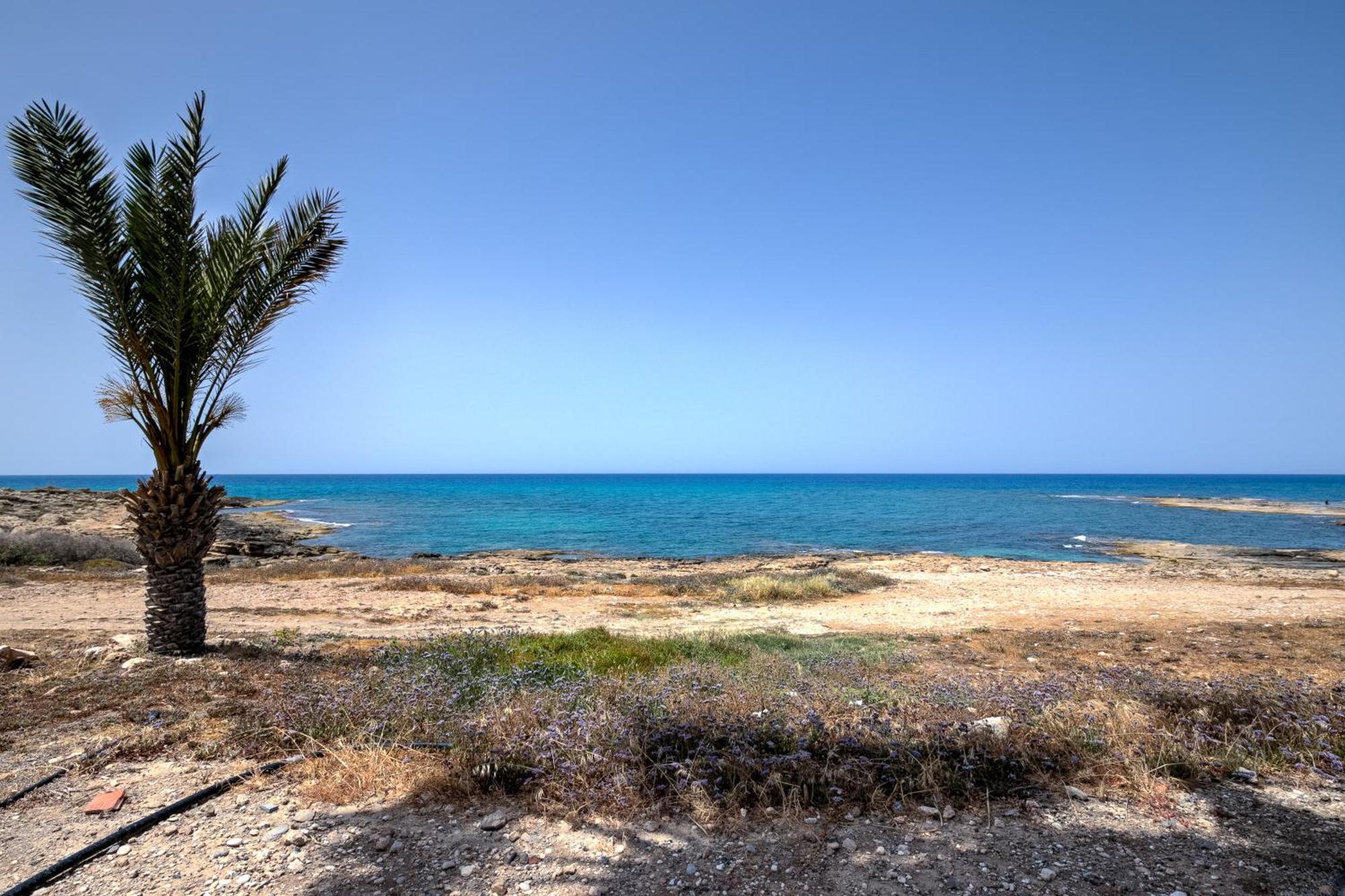 Platzia Beach Villas Paphos ภายนอก รูปภาพ
